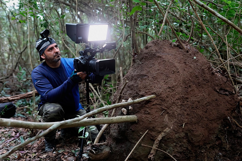 Expedición en la selva Jamaica para realizar un reportaje sobre las termitas