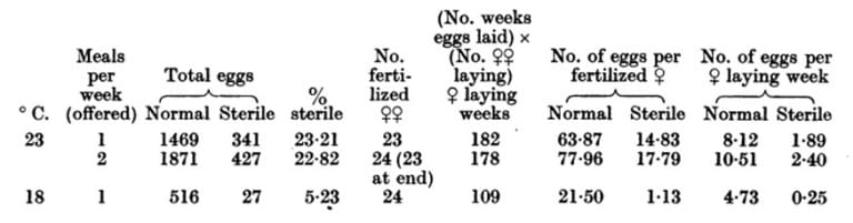 Tabla 30. Producción de huevos con la alimentación repetida. Machos y hembras pasaron 24 horas juntos. A continuación, se quitaron los machos. Sólo se consideran las hembras fertilizadas. 90% de H. R. a ambas temperaturas.