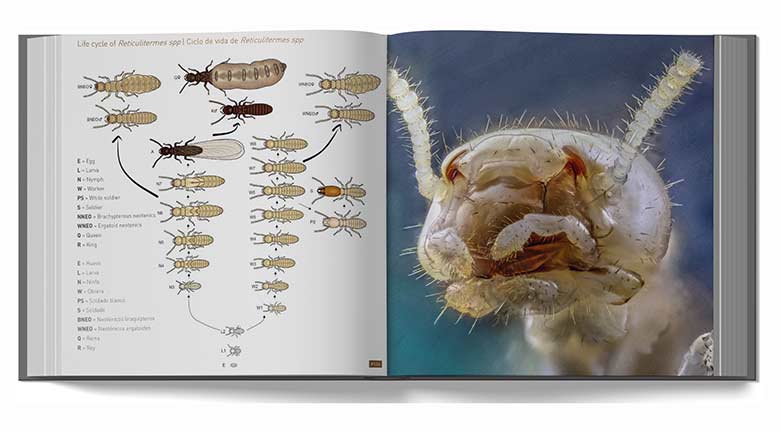 libro-termitas-660-fotografias